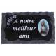 Plaque Cimetiere A Notre Meilleur Ami 9x14 