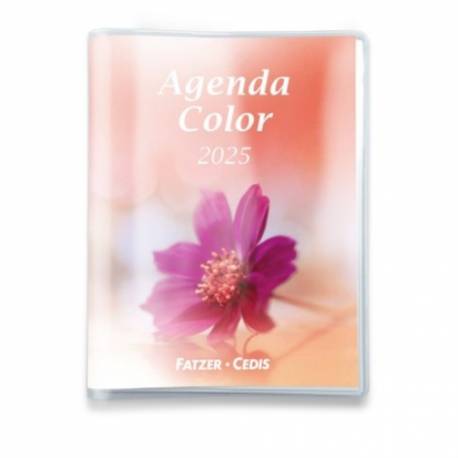 Agenda color 2025 