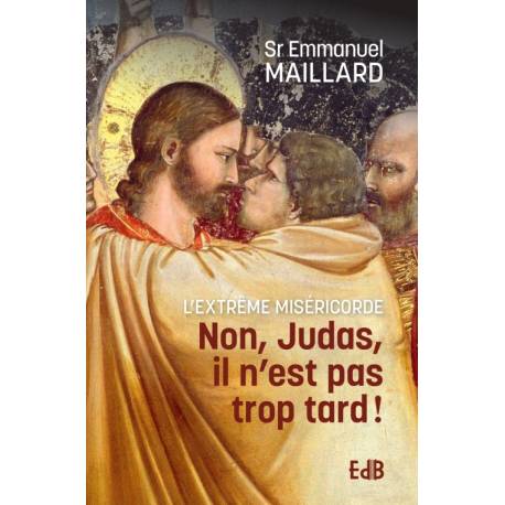 Non, Judas, il n'est pas trop tard - L'extrême miséricorde (Poche)